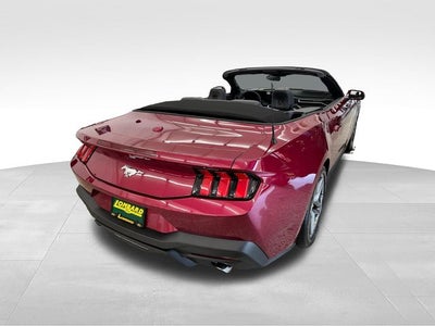 2026 Ford Mustang EcoBoost Premium