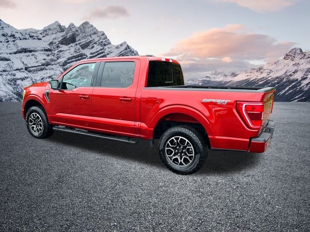 2023 Ford F-150 XLT 302A pkg