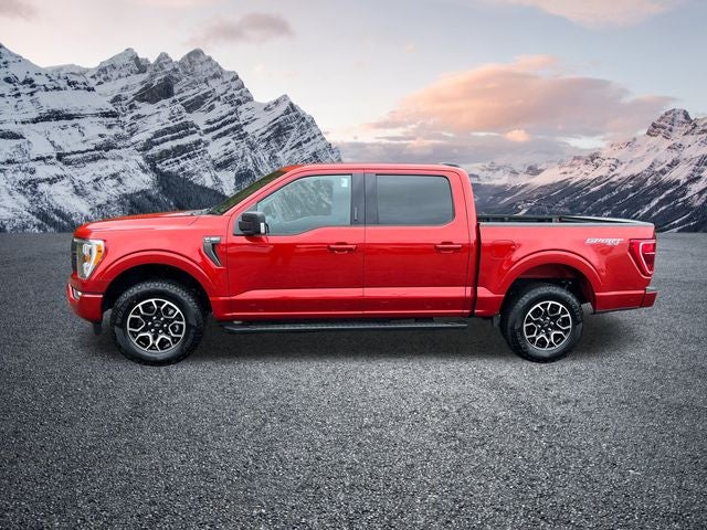 2023 Ford F-150 XLT 302A pkg
