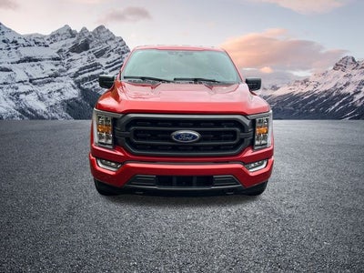 2023 Ford F-150 XLT 302A pkg