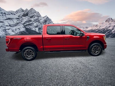 2023 Ford F-150 XLT 302A pkg