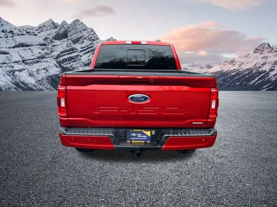 2023 Ford F-150 XLT 302A pkg
