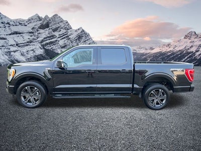 2023 Ford F-150 XLT 302A