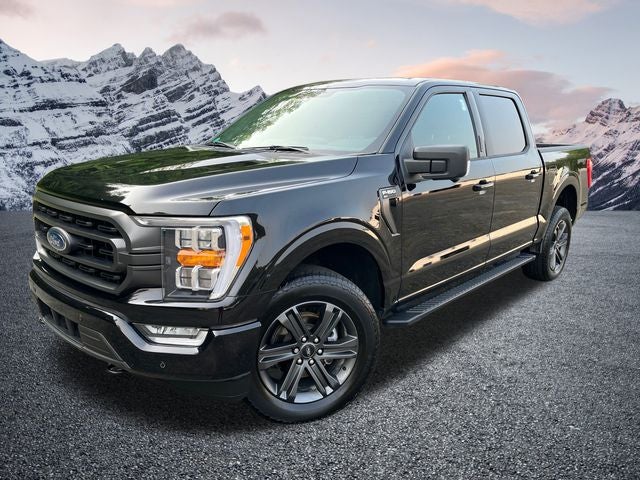2023 Ford F-150 XLT 302A