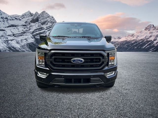 2023 Ford F-150 XLT 302A