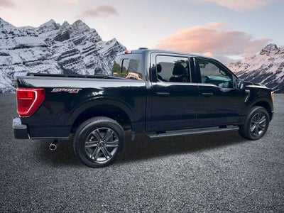 2023 Ford F-150 XLT 302A