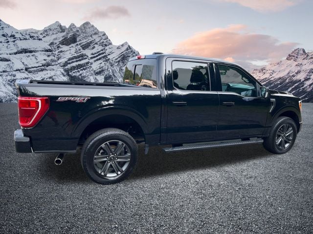 2023 Ford F-150 XLT 302A