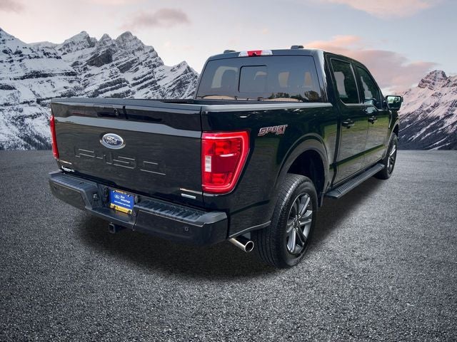2023 Ford F-150 XLT 302A